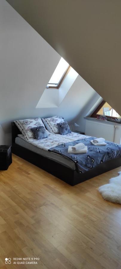 Apartament Gazda Lägenhet Zakopane Exteriör bild